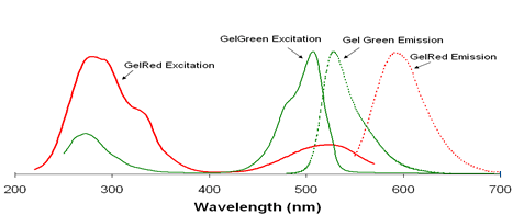 gelred,gelgreen,核酸染料,EB替代品